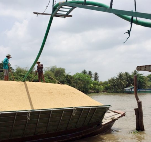 LÒ HƠI ĐỐT VỎ TRẤU